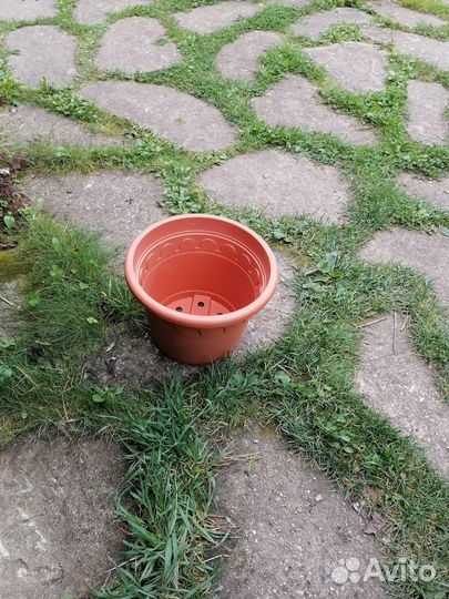 Горшки для цветов пластиковые б/у