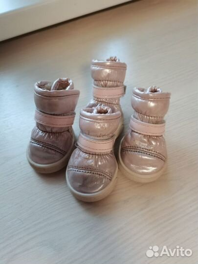 Ботиночки для собак