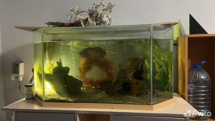 Аквариум с оборудованием