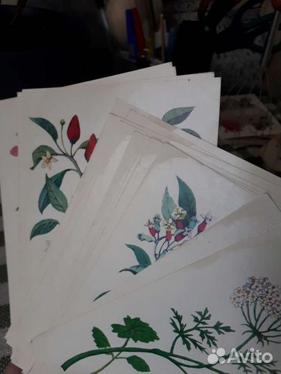 Открытки наборы СССР