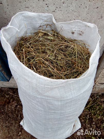 Продаётся сено мешками