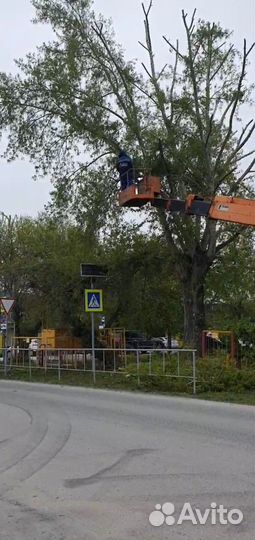 Спил деревьев, уборка территории