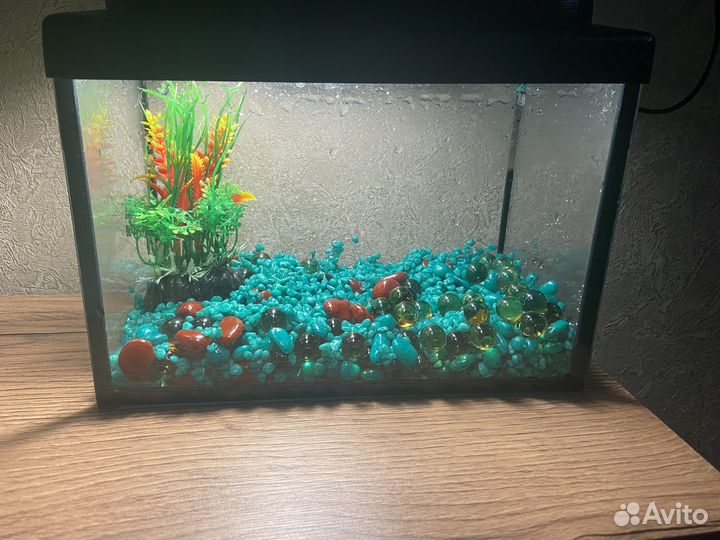 Аквариум