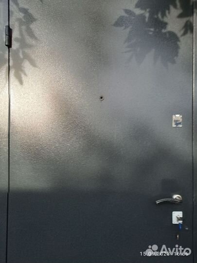 Дверь входная