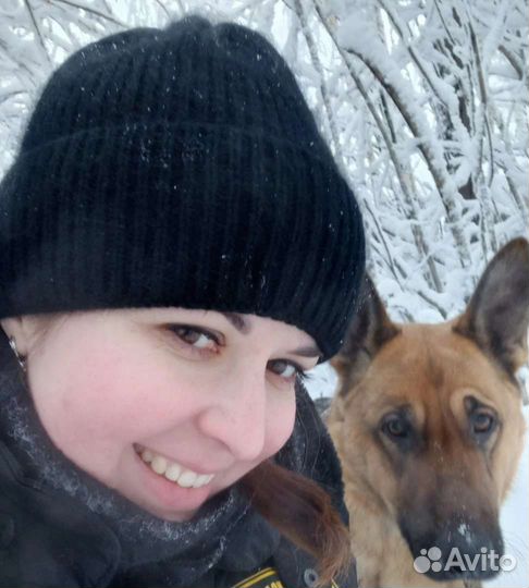 Услуги кинолога