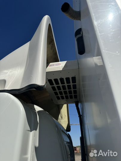Isuzu Elf (N-series), 2019