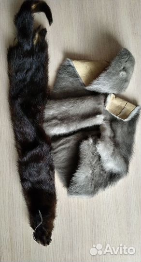 Шкурки норки