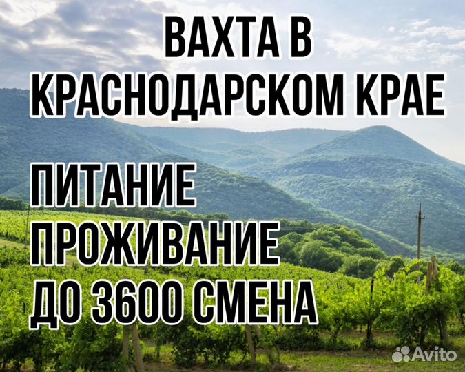 Жиловщик мяса в Краснодарском крае Вахта