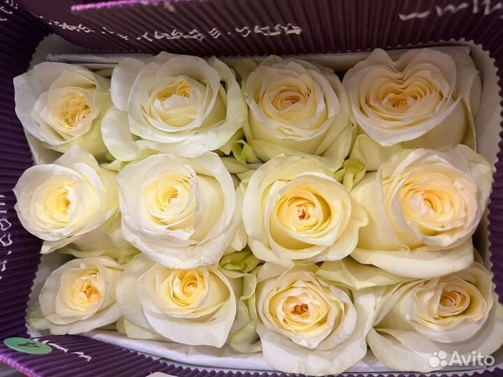 Цветы оптом в наличии,склад в Астрахани. Прайс