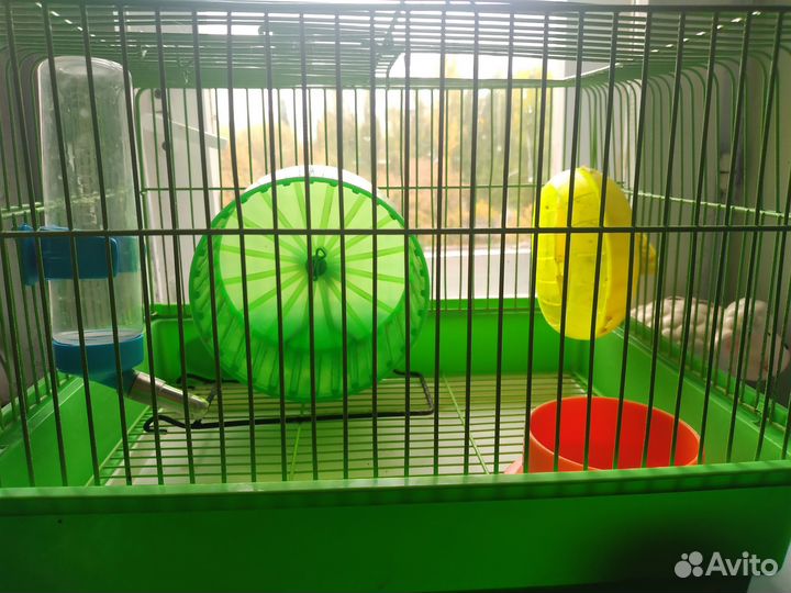 Клетка для джунгарского хомяка