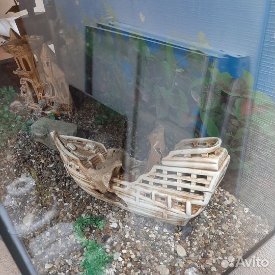 Продам аквариум