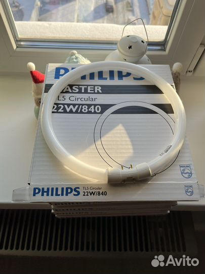 Philips master TL5 Circular 22W/840