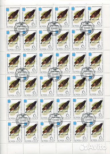 Марки 5 листов 5х6 серия Птицы 1982 С.5299-5302