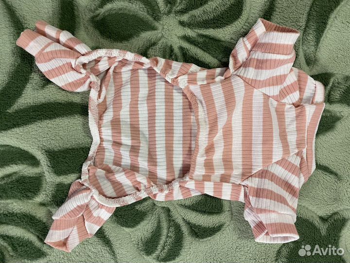 Одежда для животных