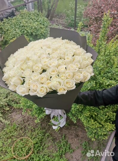 Розы букет цветов