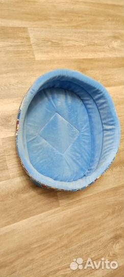 Котята бесплатно