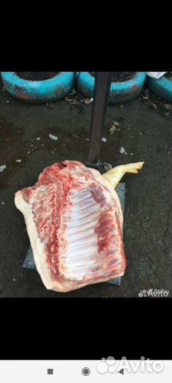 Домашняя свинина