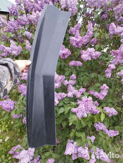 Жабо сценик3