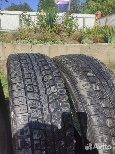 Dunlop Winter Maxx 205/60 R16
