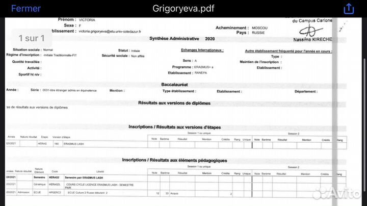 Репетитор по французскому носитель