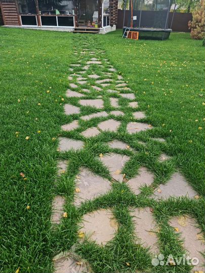 Дренаж, газон, озеленение, благоустройство