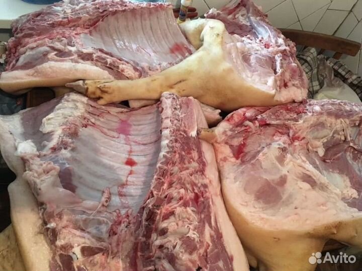 Мясо свинина