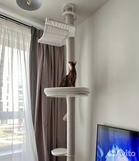 Когтеточка с упором в потолок