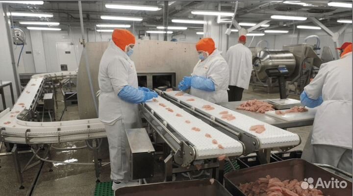 Оператор линии на птицефабрику Тамбовская область