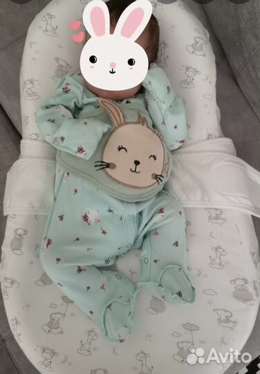 Кокон зевушка