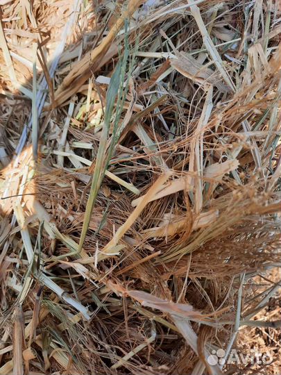 Солом в рулонах