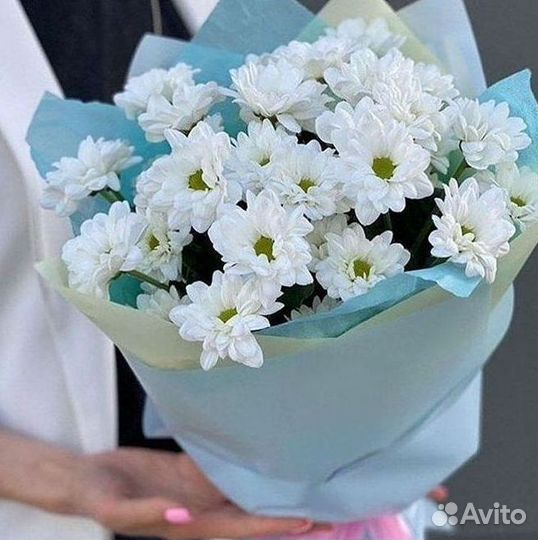 Доставка букетов и цветов. Хризантема