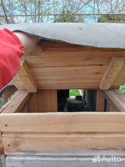 Курятник летний