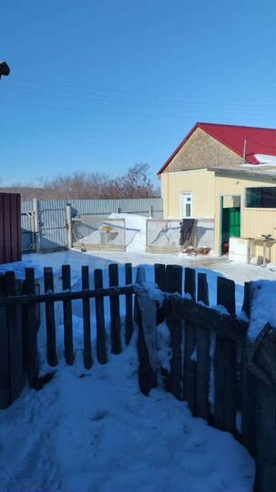 Дом 66,6 м² на участке 31 сот.