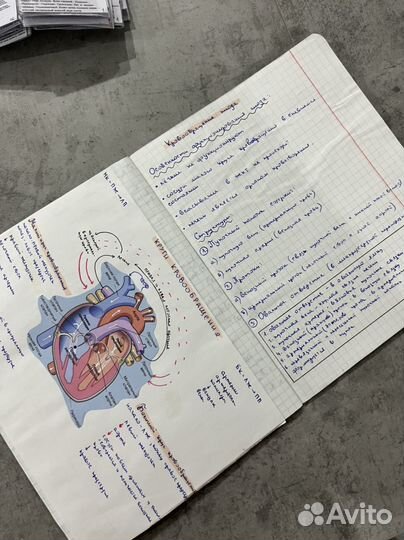 Методички гайворонского