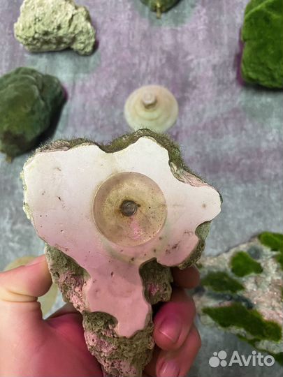 Грот для аквариума