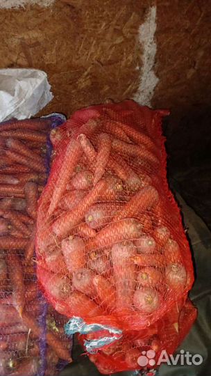 Продам картофель