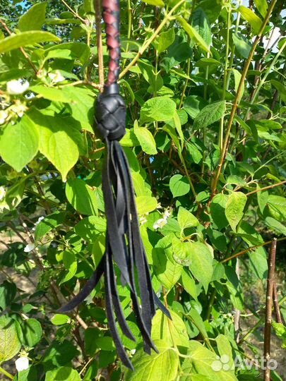 Нагайка кубанская