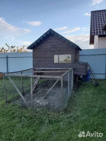 Курятник для кур