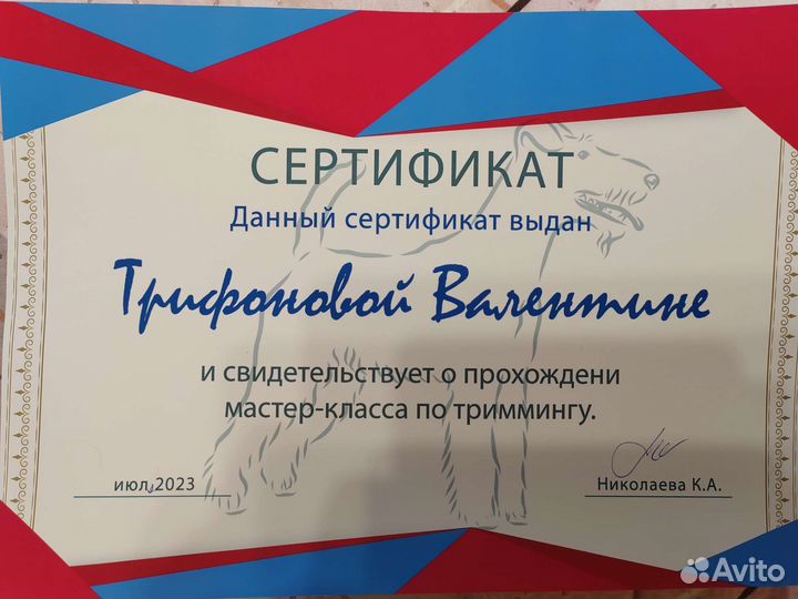 Тримминг собак