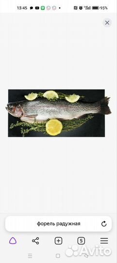 Форель радужная