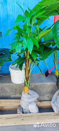 Искусственные цветы 170см