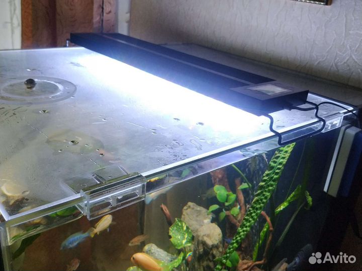 Аквариум на заказ. Под ключ