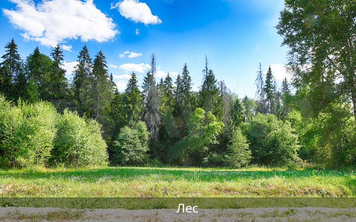 Участок 17,4 сот. (СНТ, ДНП)