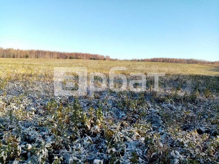 Участок 10 га (СНТ, ДНП)