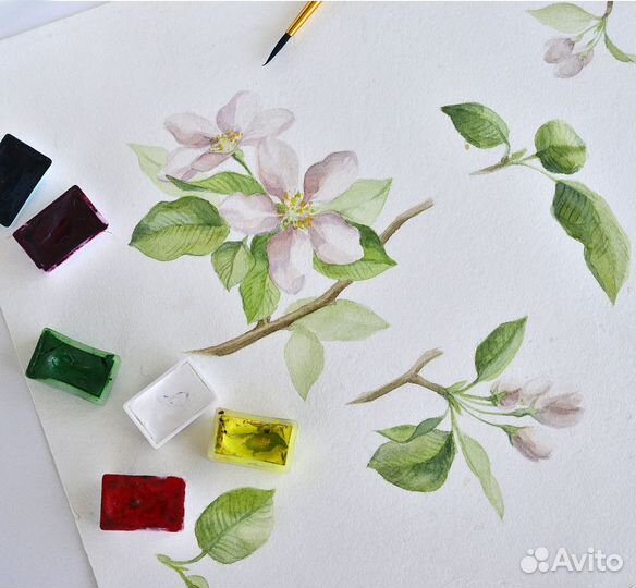 Акварельная иллюстрация. Акварель