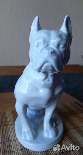 Собака бульдог СССР