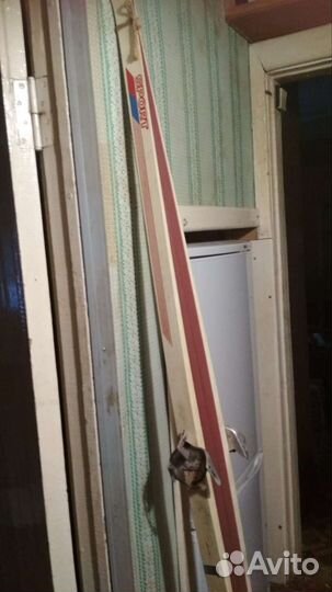 Беговые лыжи