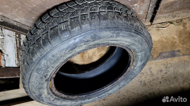 Tigar Sigura Stud 195/65 R15