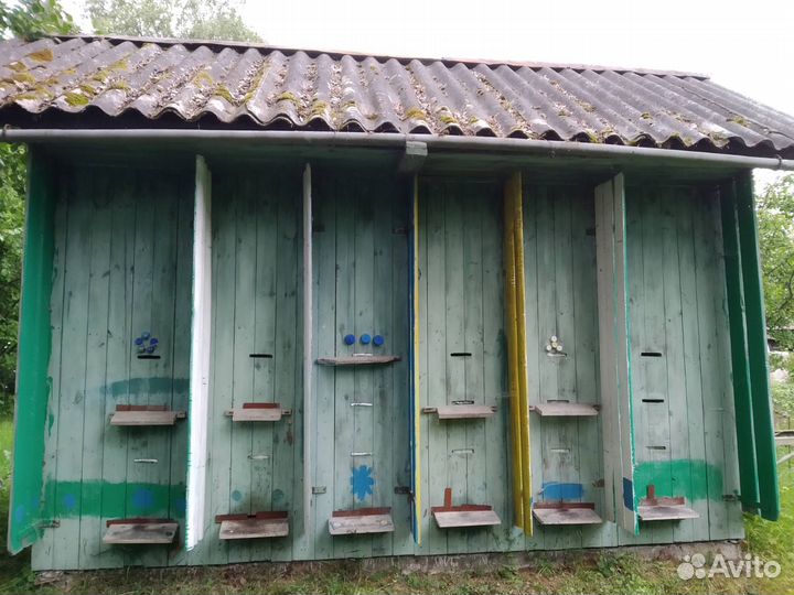 Пчеловодство