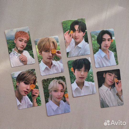 Ломо-карты stray kids «noeasy»